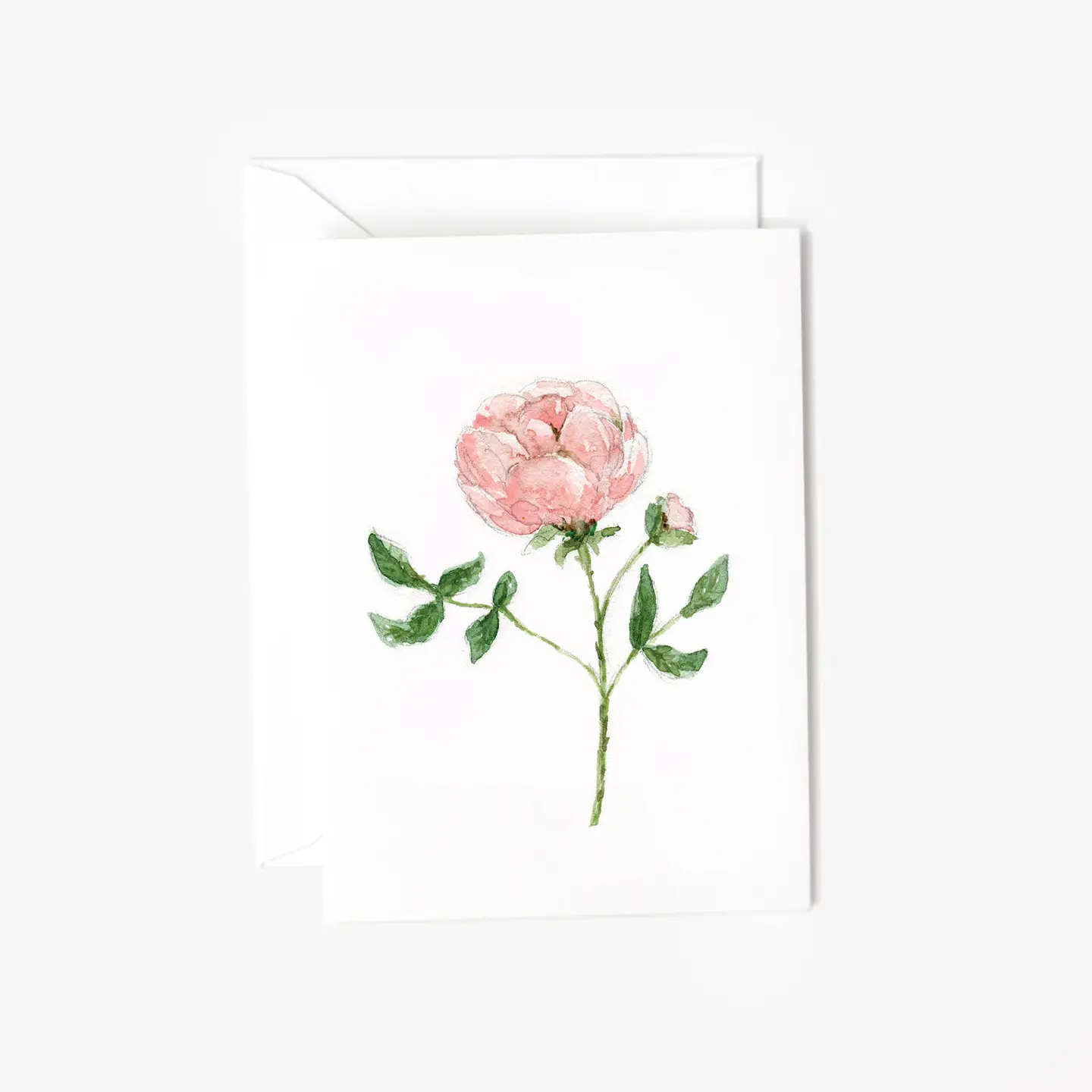 Mini Notecard - Assorted Variety