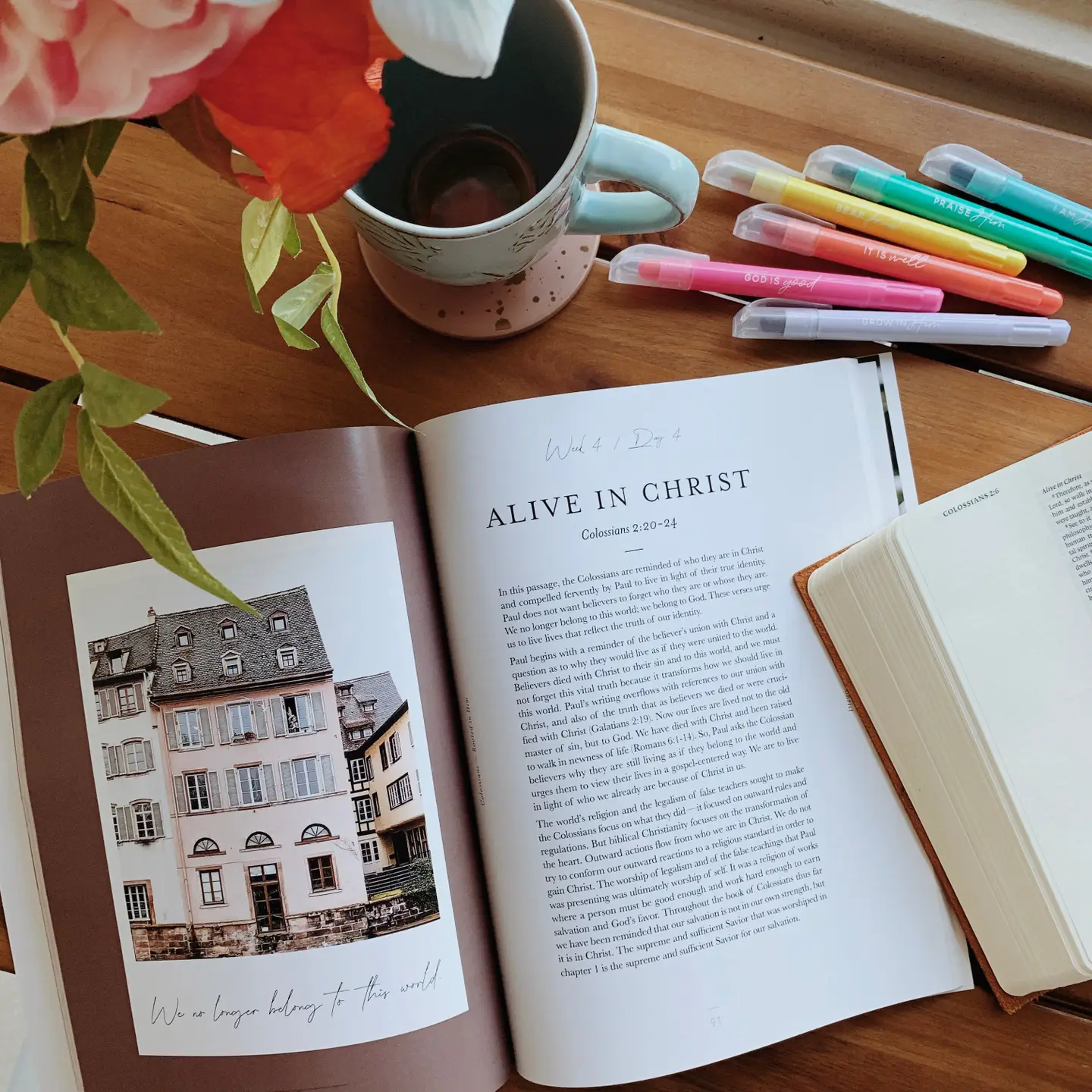 Colossians: Rooted in Him