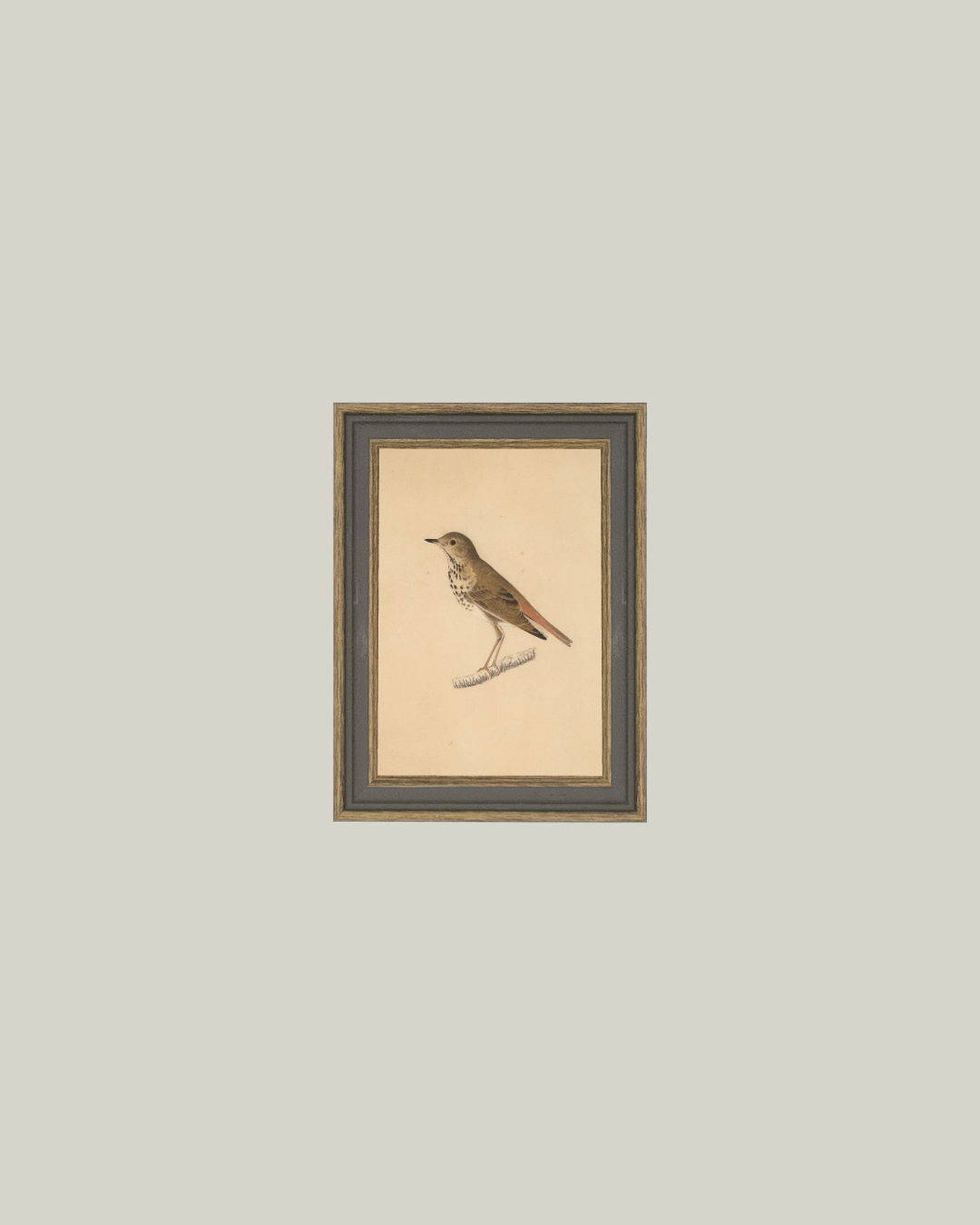 Bird Framed Art