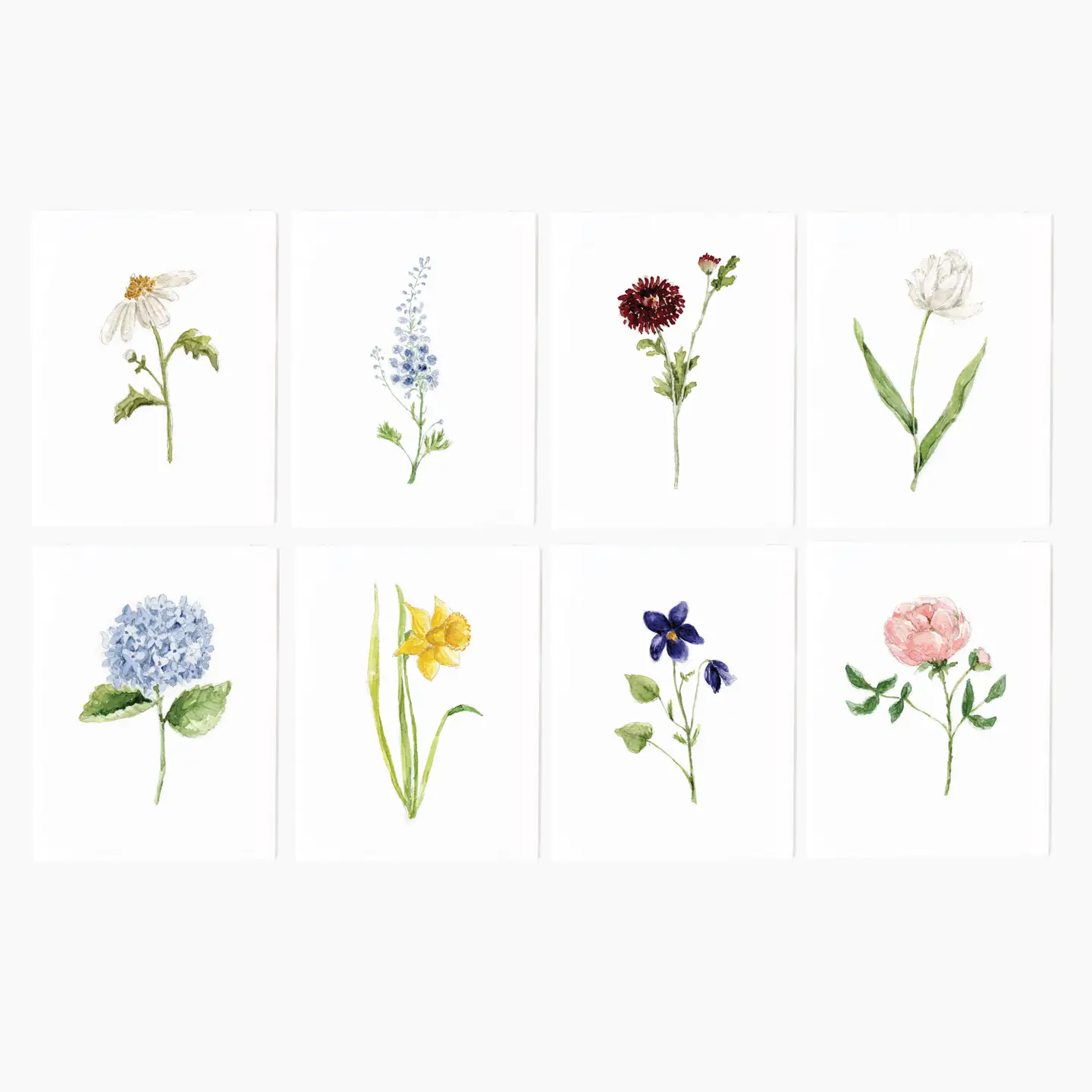 Set of 8 Assorted Notecards
