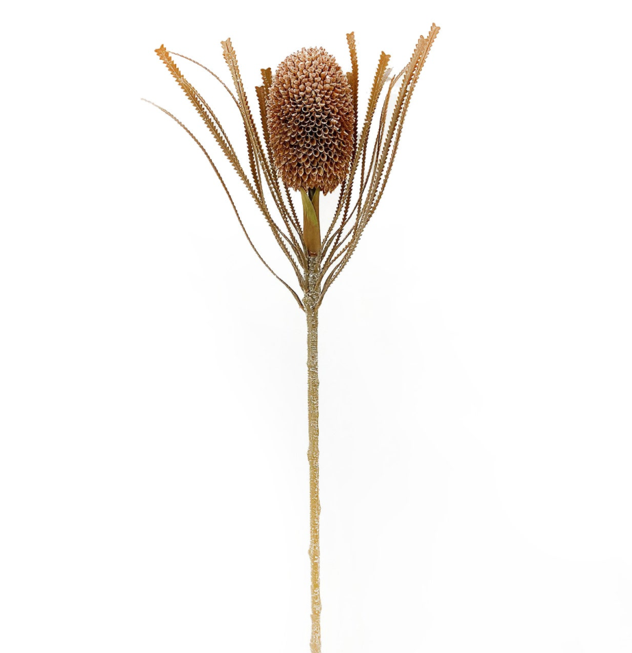 Desert Stem