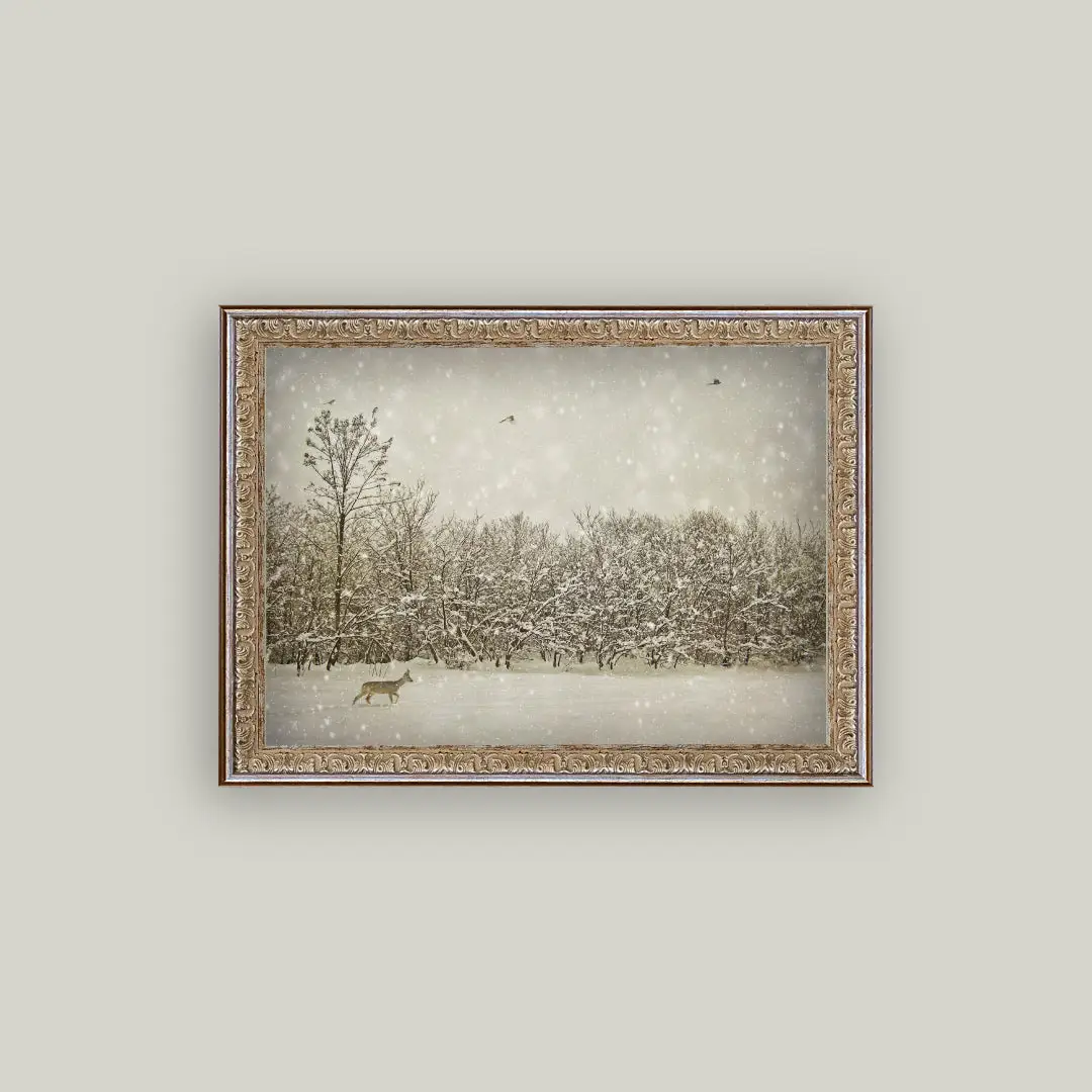 Winter Fawn Framed Art