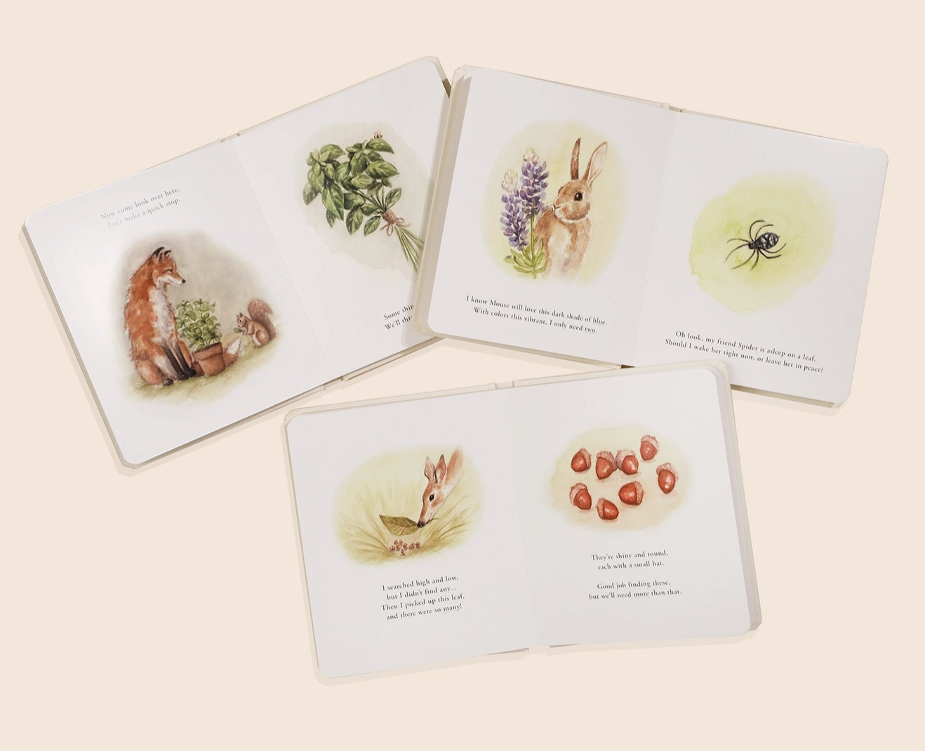 Our Little Adventures