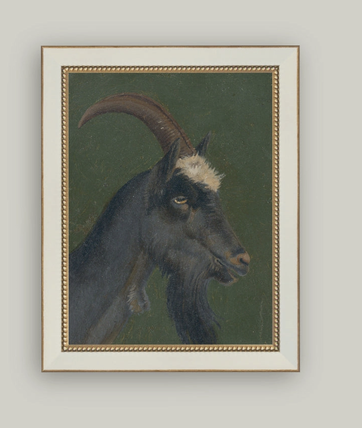 The Goat Framed Art