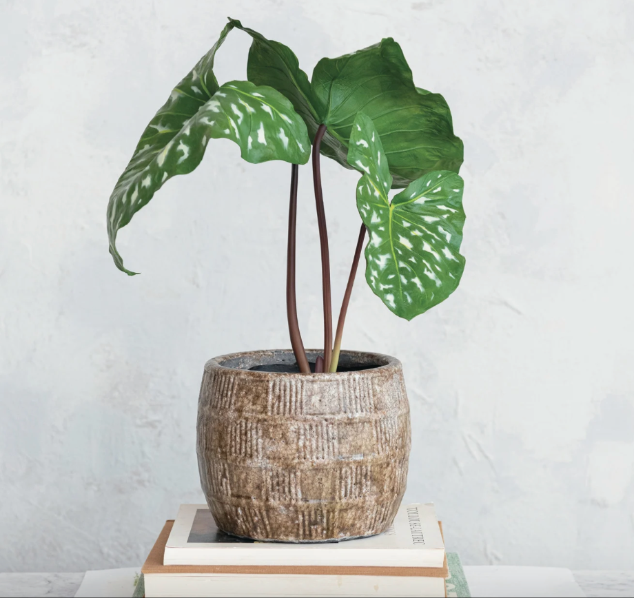 Embossed Terra-cotta Planter - Brown