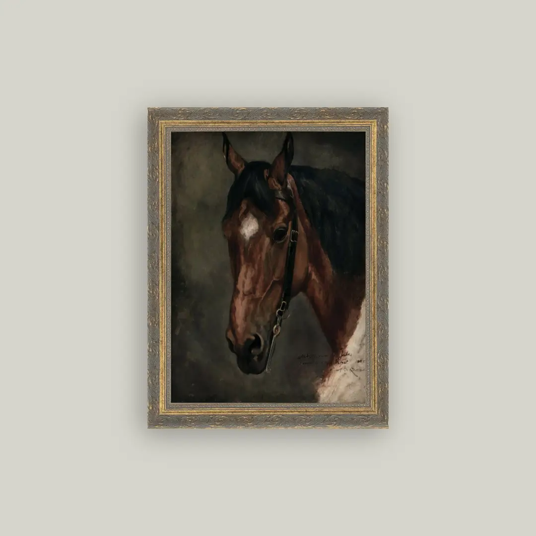 Horse Portrait Framed Art