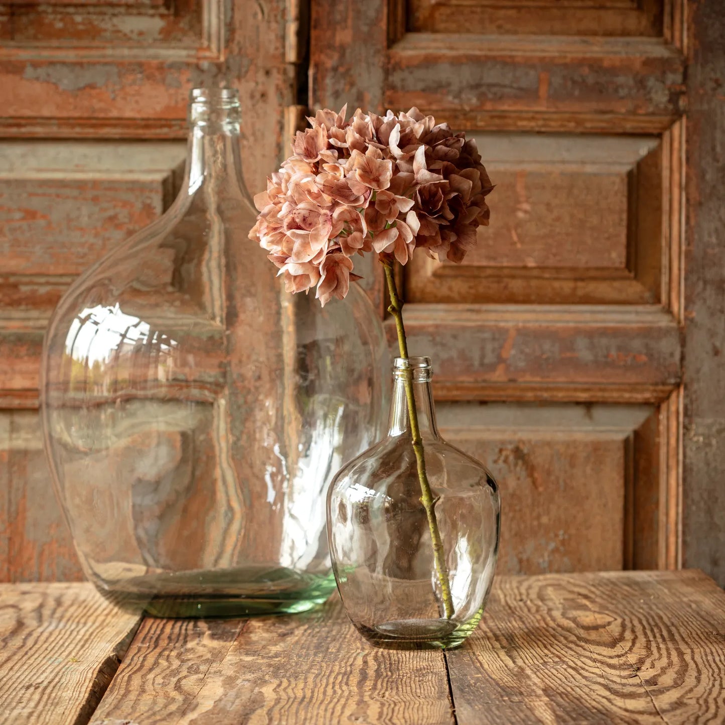 Hydrangea Stem