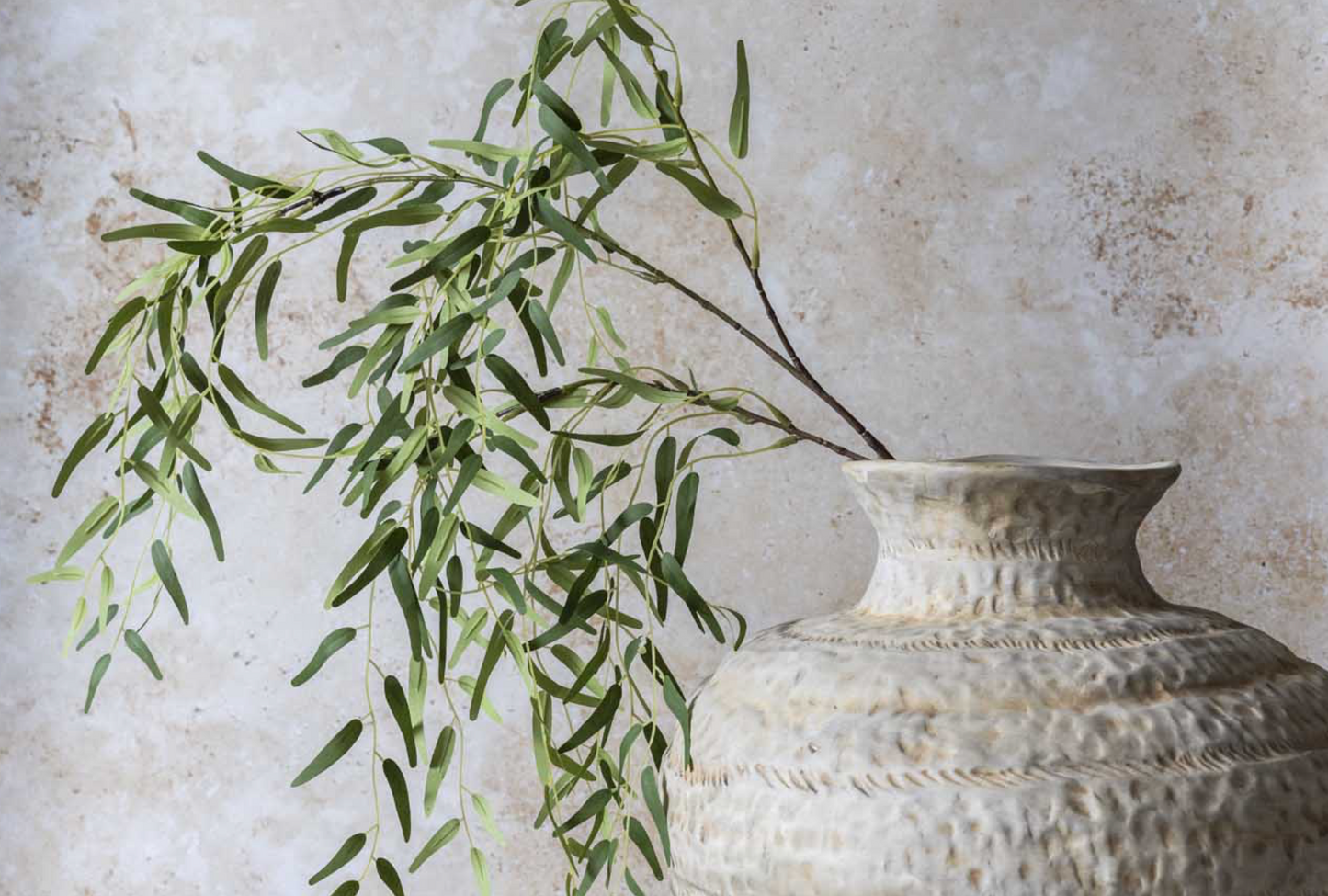 Willow Stem