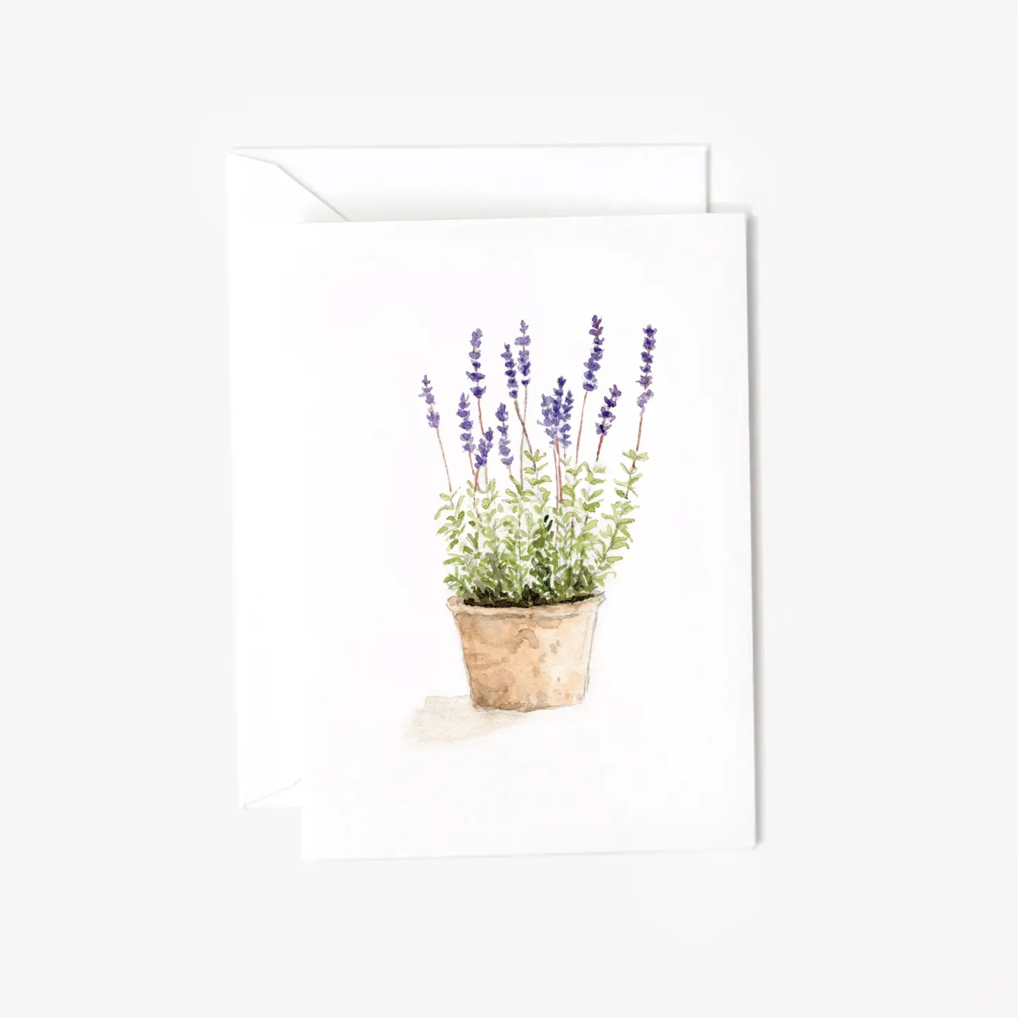 Mini Notecard - Assorted Variety