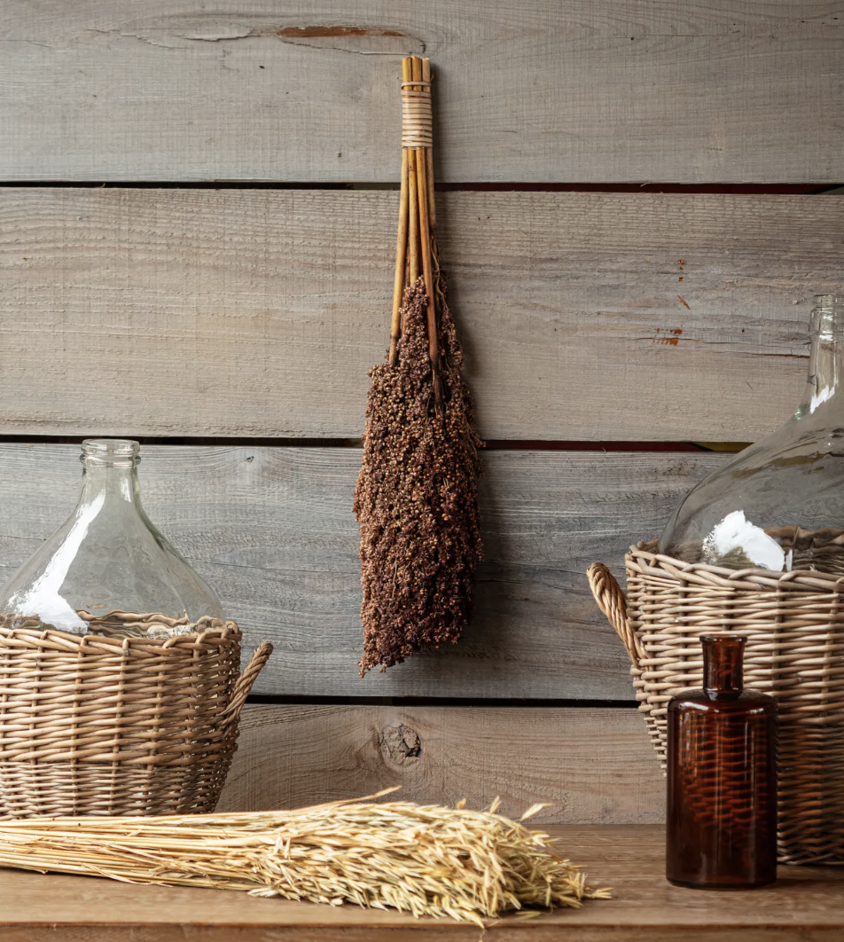 Dried Broom Bunch