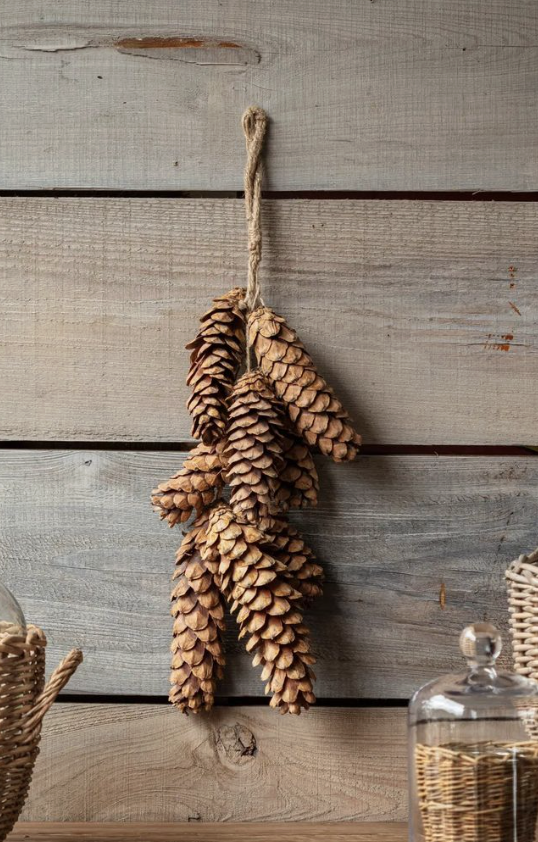 White Pine Pinecone Bunch
