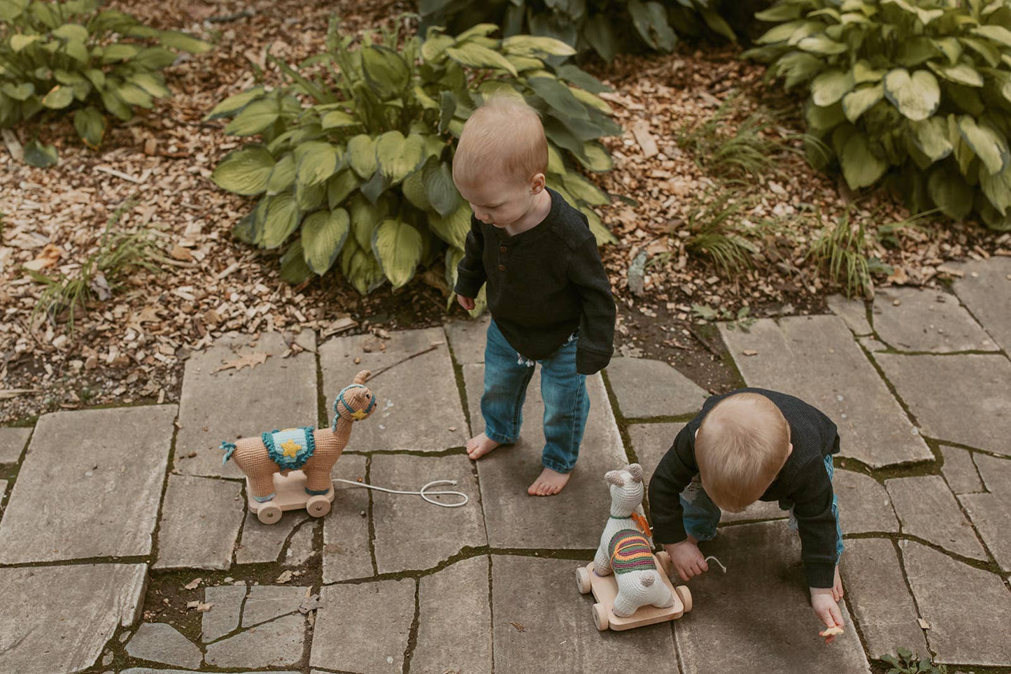 Pull Toy: Blue Horse