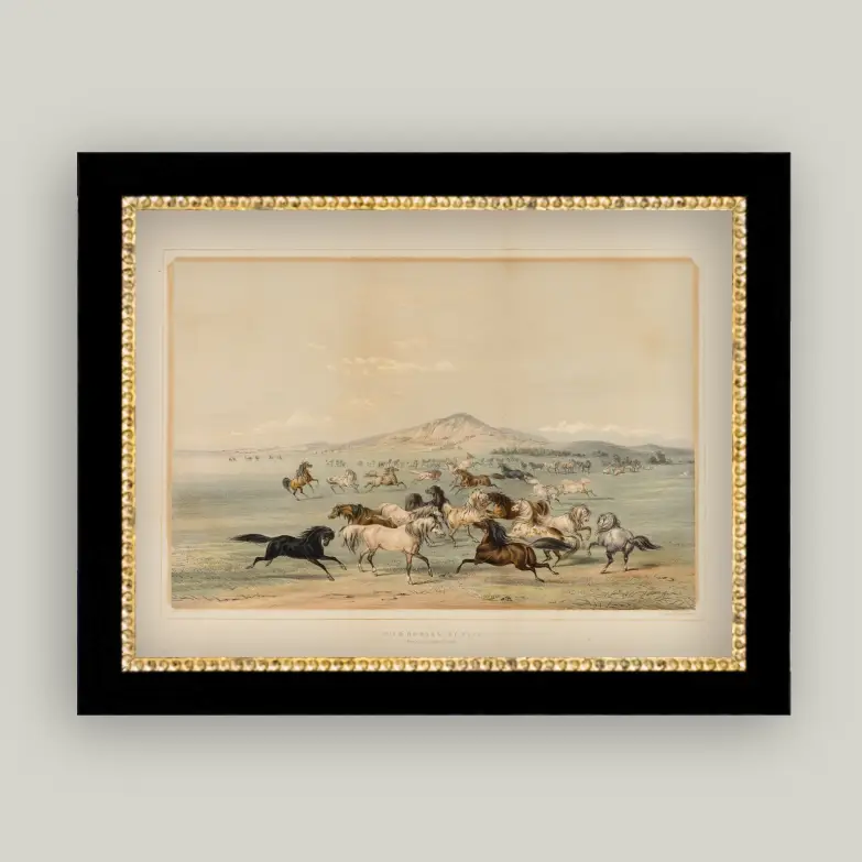 Field of Horses Framed Art