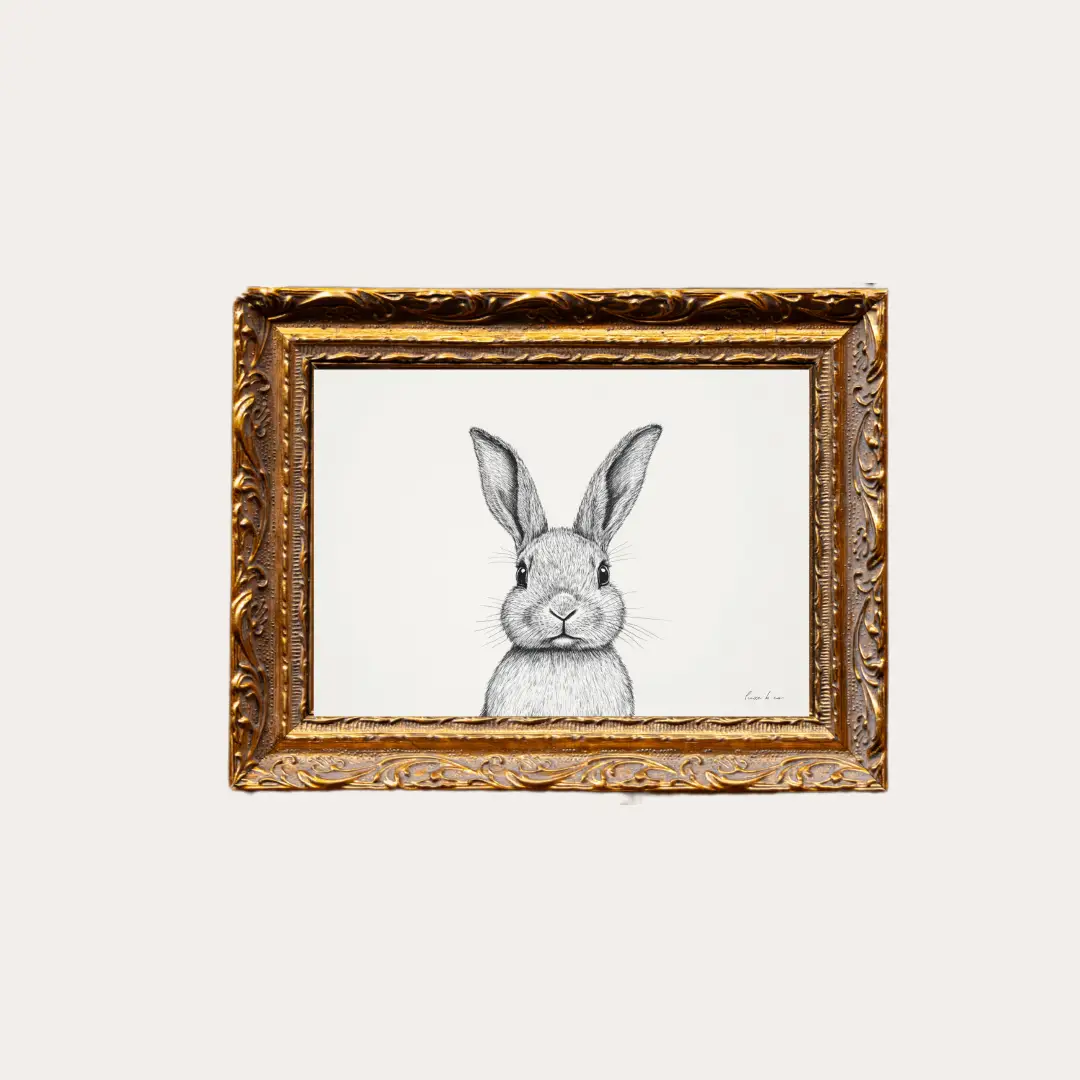 Rabbit Sketch Framed Art