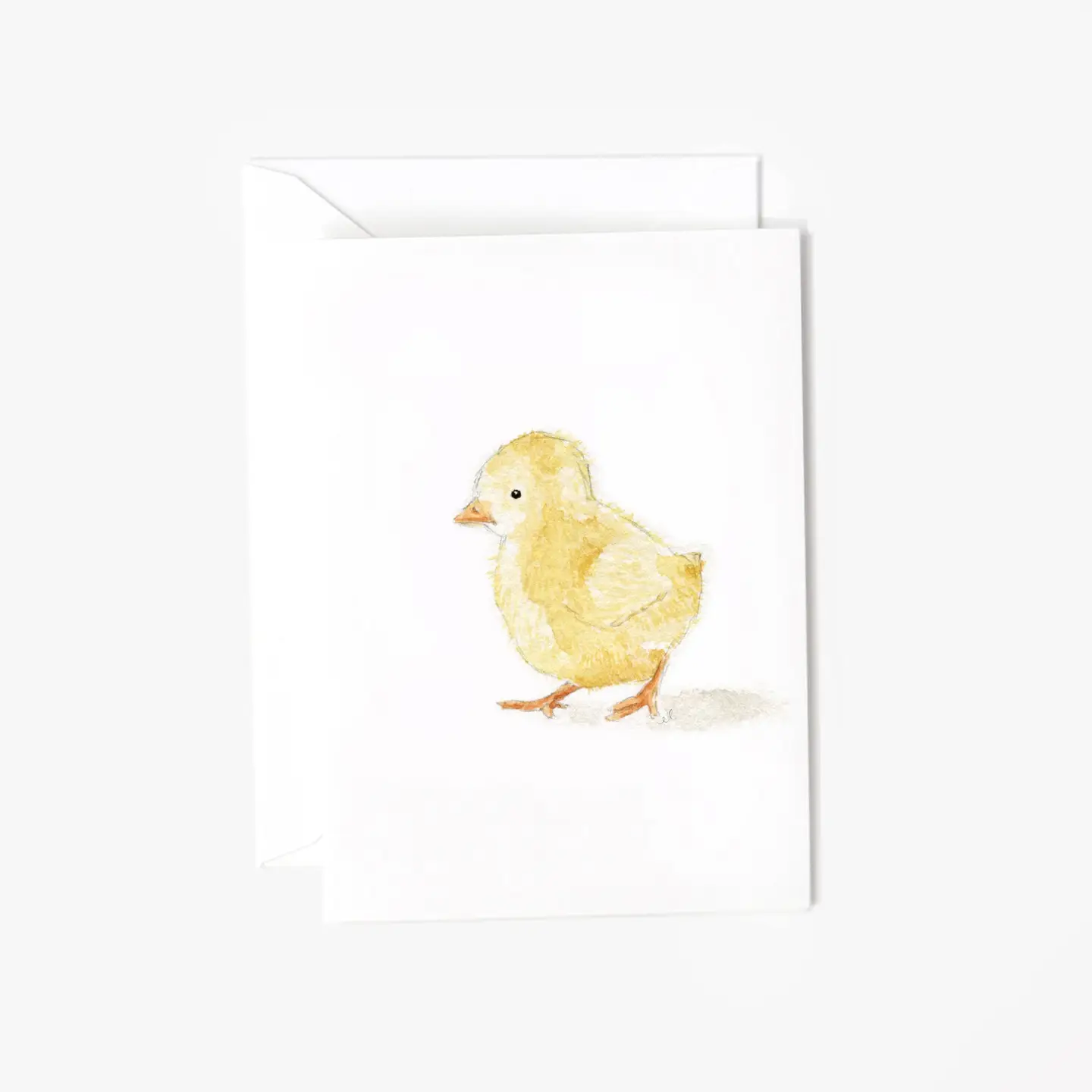 Mini Notecard - Assorted Variety