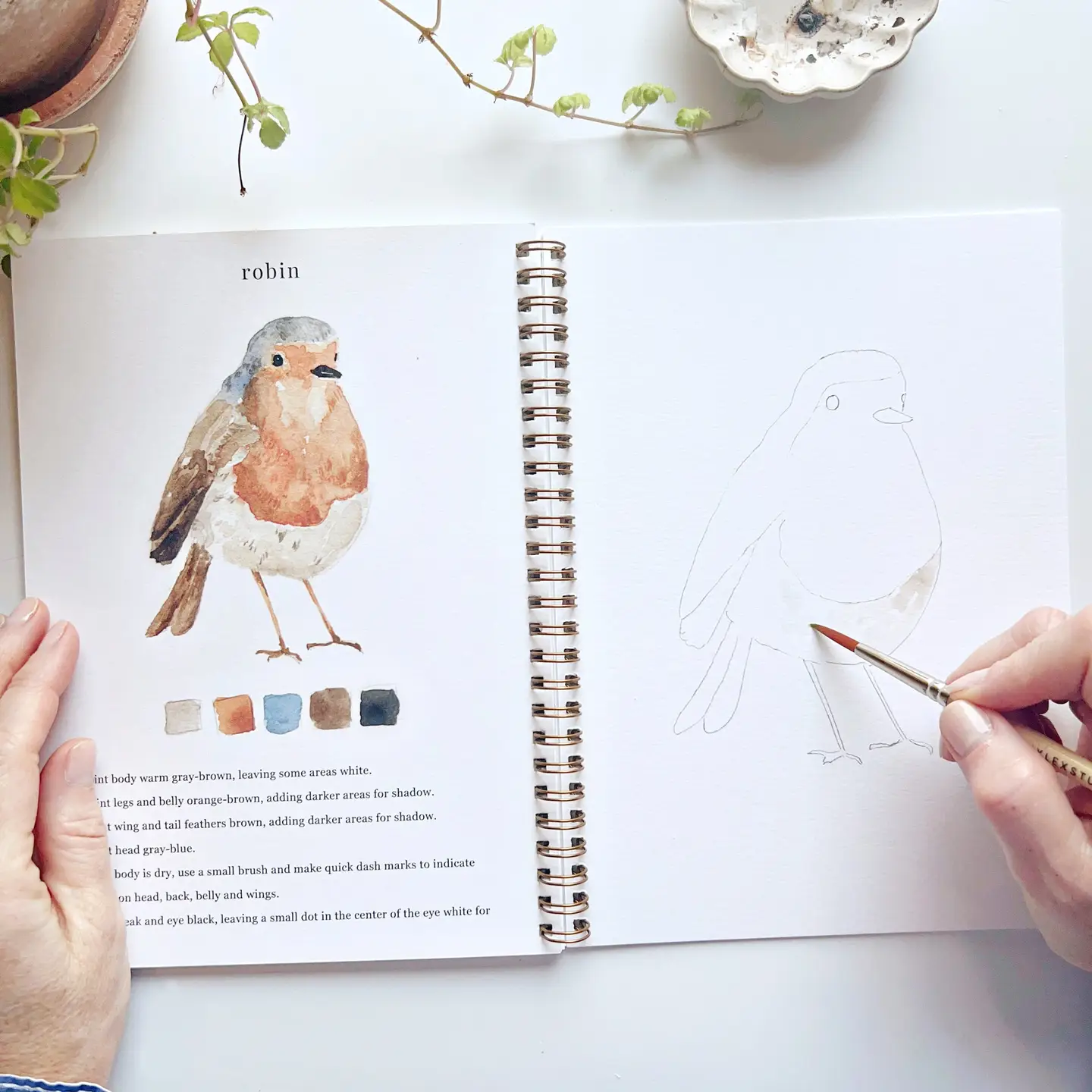 Bird Watercolor Workbook