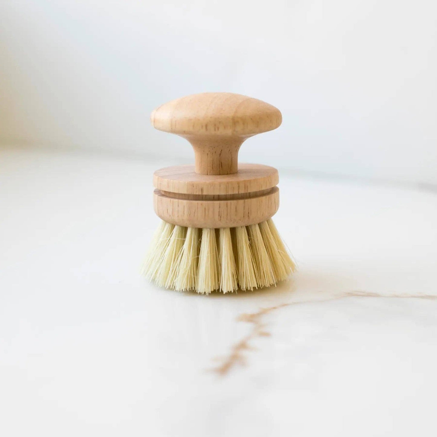 Dishwashing Brush