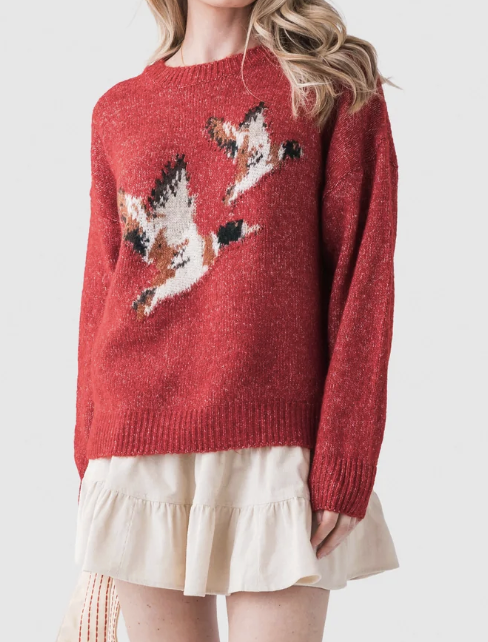 Duck Sweater