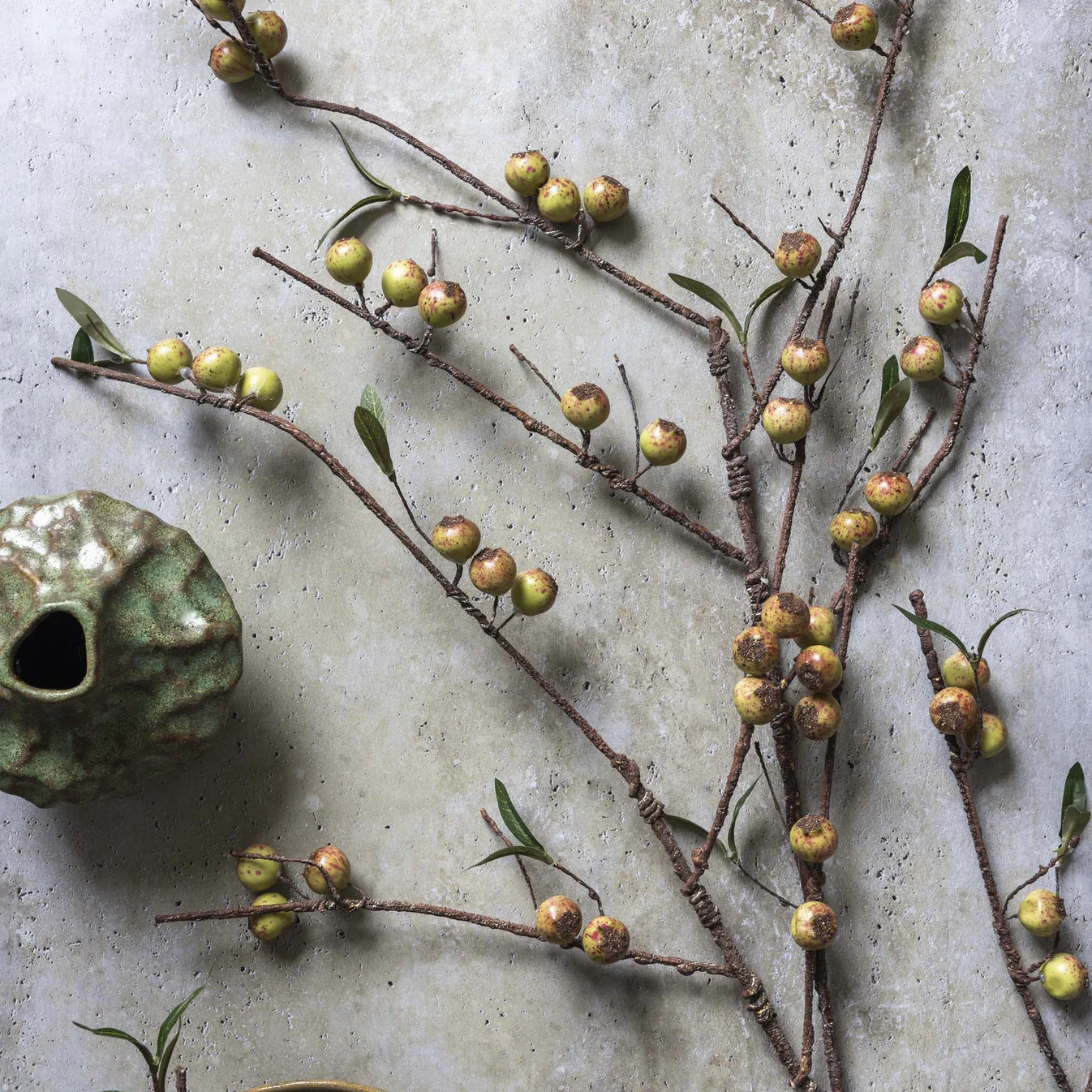 Rosehip Branch