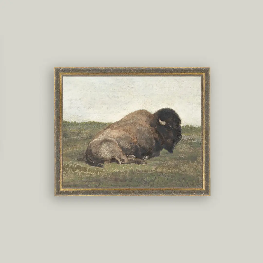 Resting Bison Framed Art