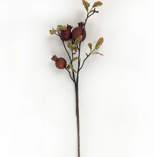 Pomegranate Stem - Plum