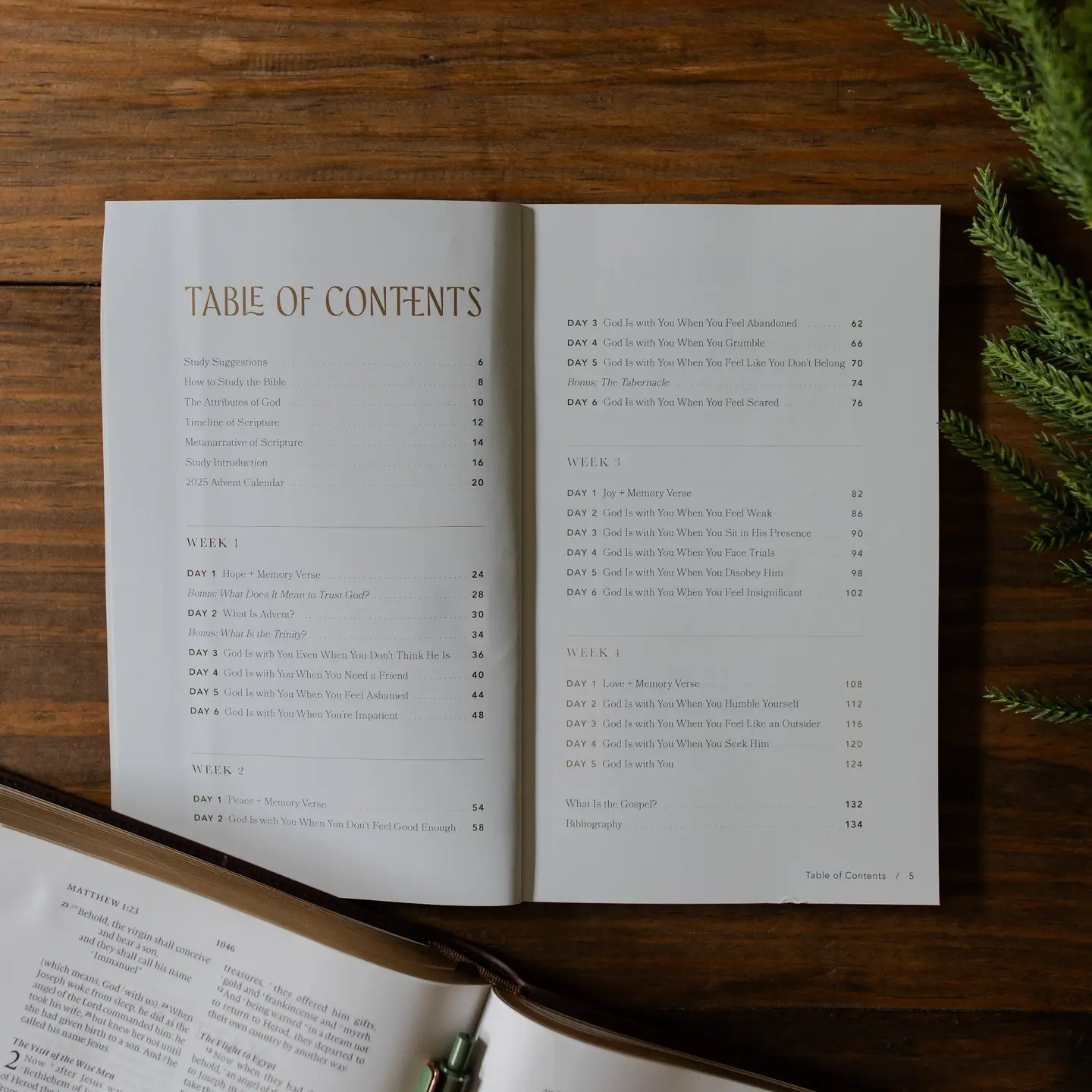 With You Always: Teen Study