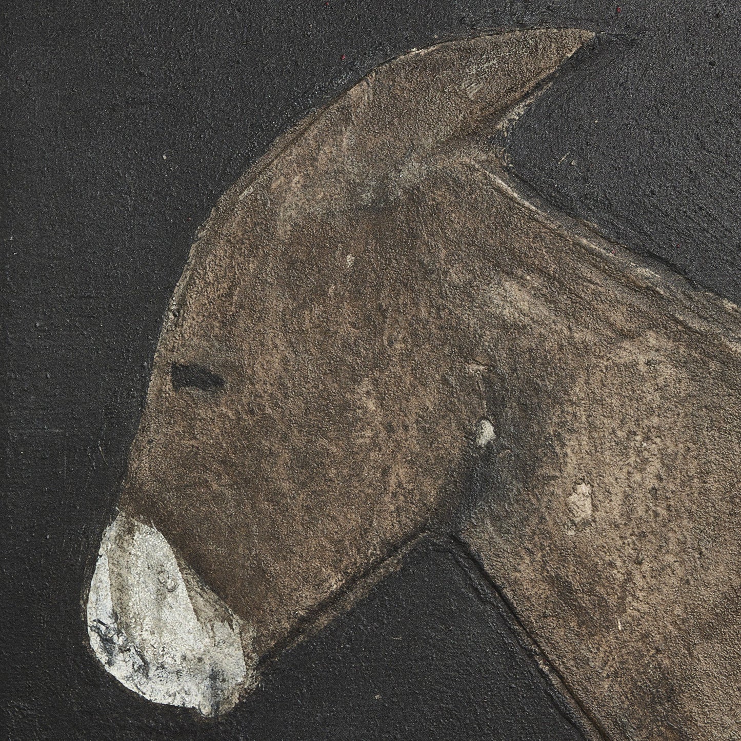 24x24 Burro Noche by Paul Meyer
