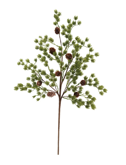 Pine Stems + Branches