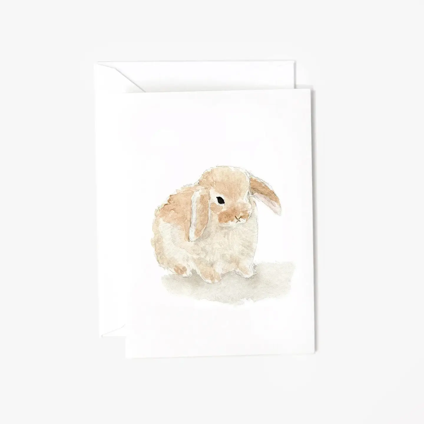 Mini Notecard - Assorted Variety