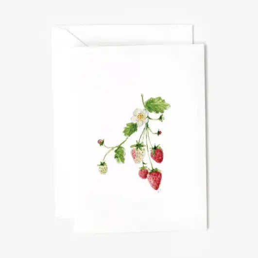 Mini Notecard - Assorted Variety