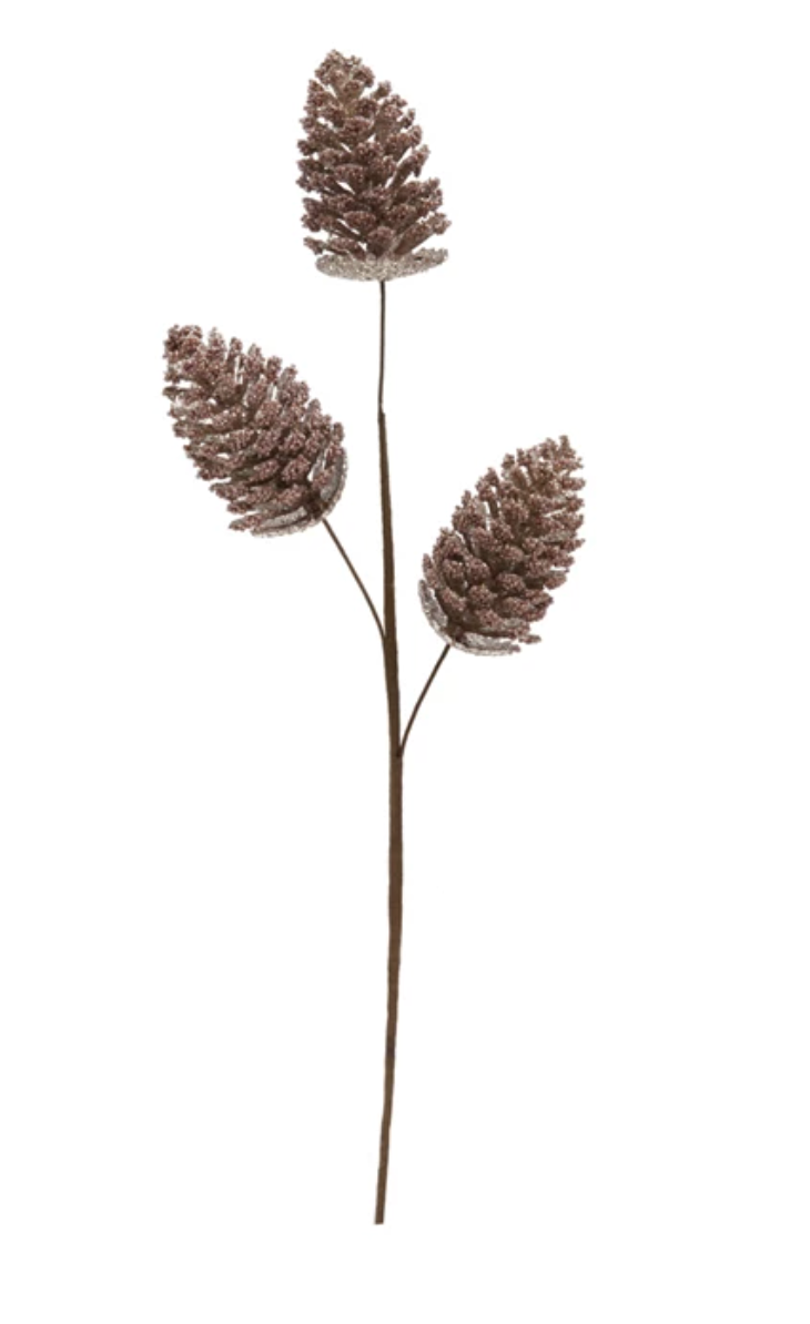 Pine Stems + Branches