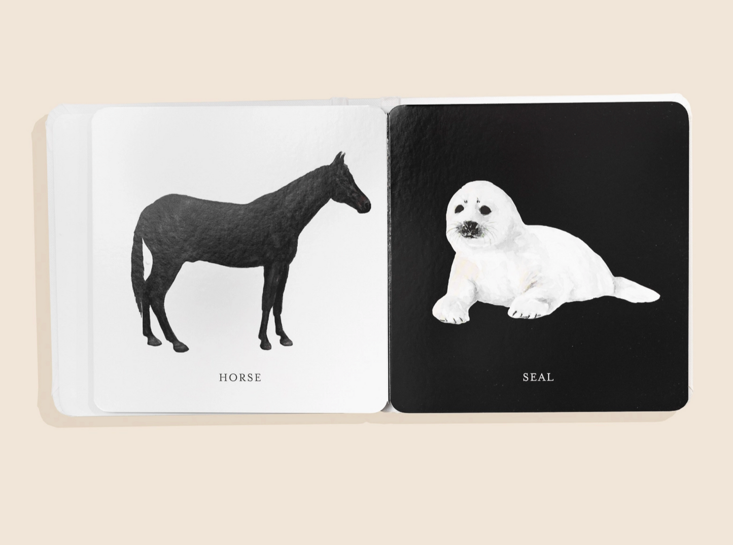 Tummy Time Baby Book