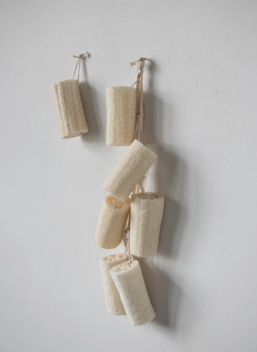 Loofah Brush