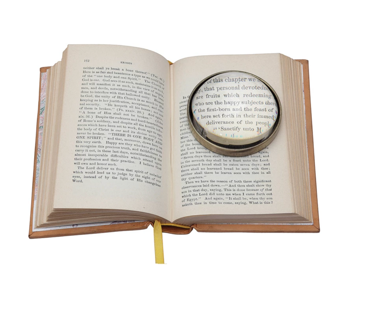 Paperweight Magnifying Glass