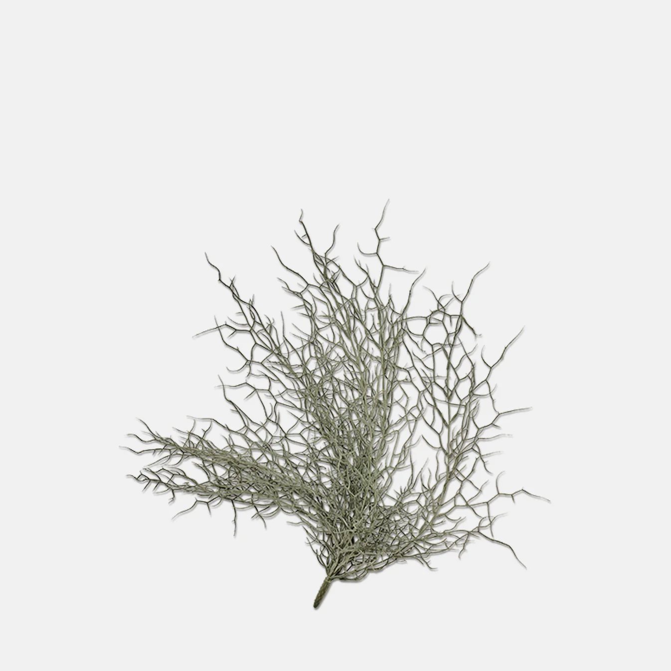 Grass Bunch Stem