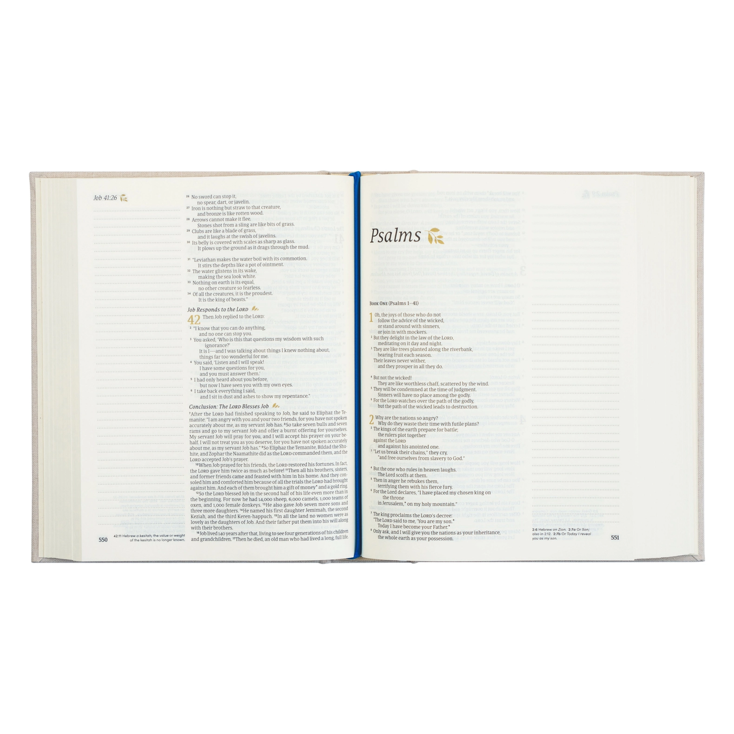 NLT Notetaking Bible