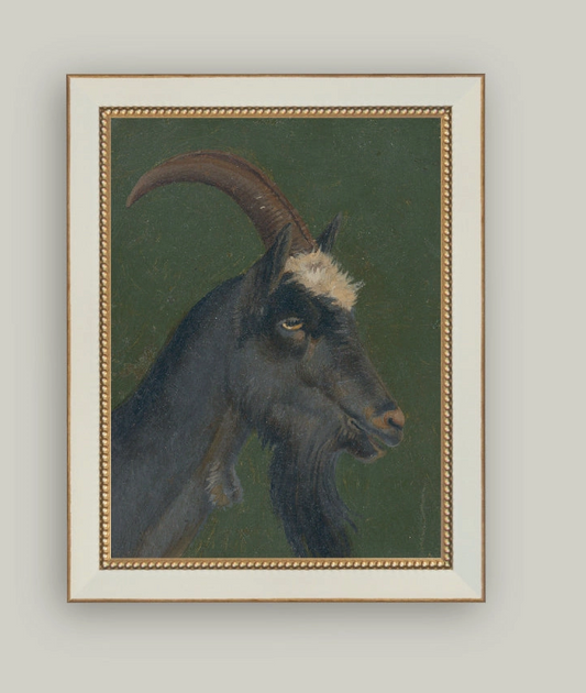 The Goat Framed Art