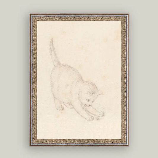 Kitten Sketch