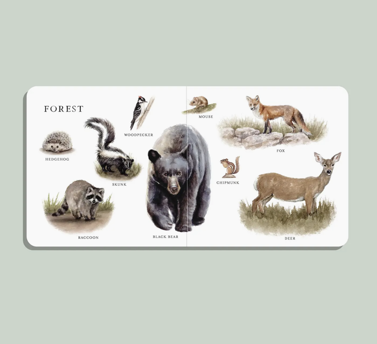 Big Book of Animals