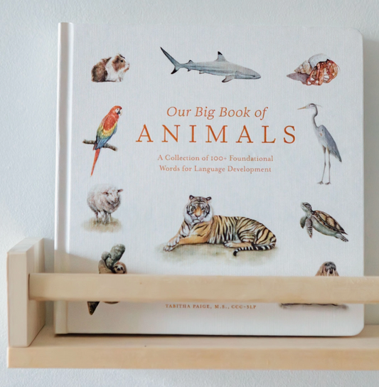Big Book of Animals