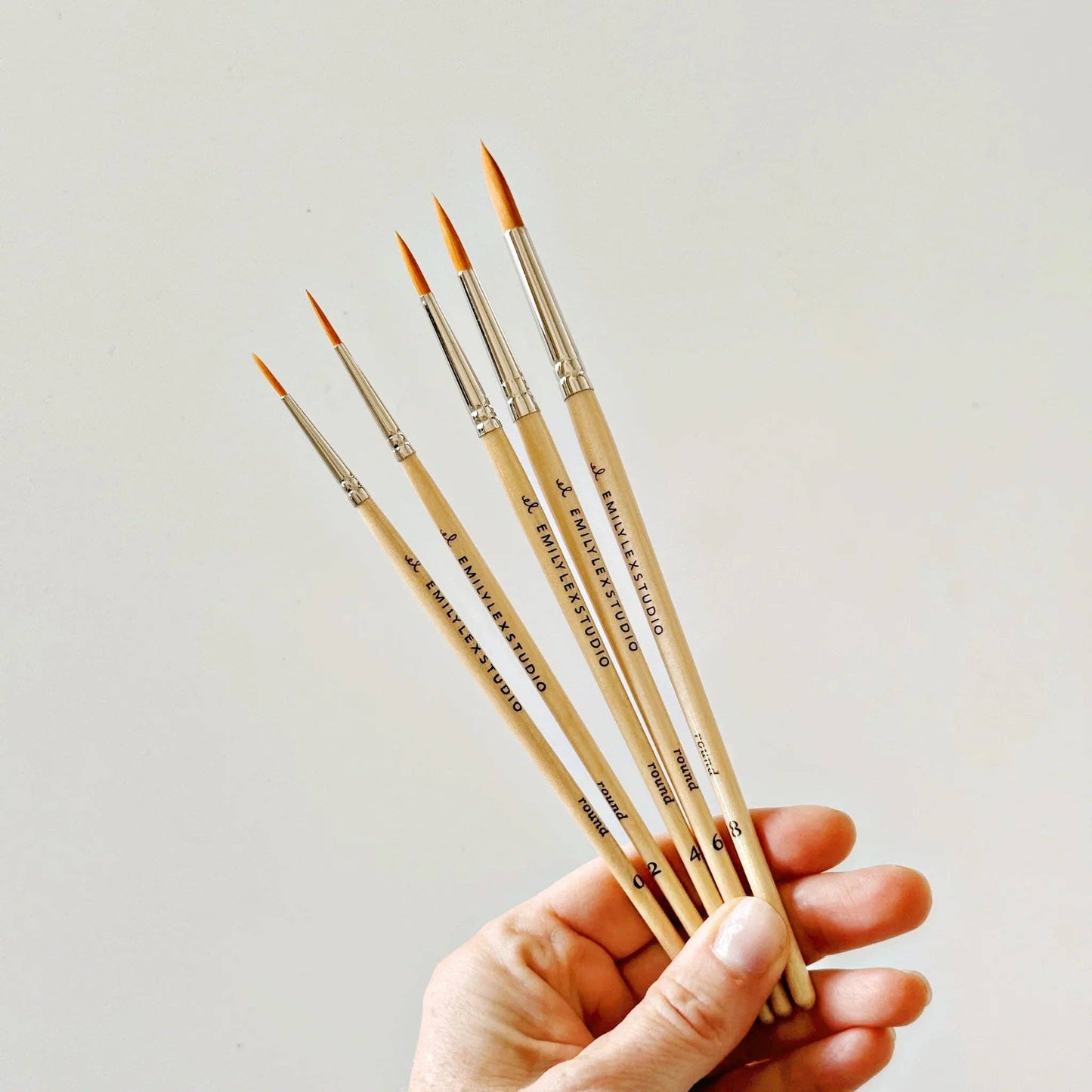 Watercolor Brush Set