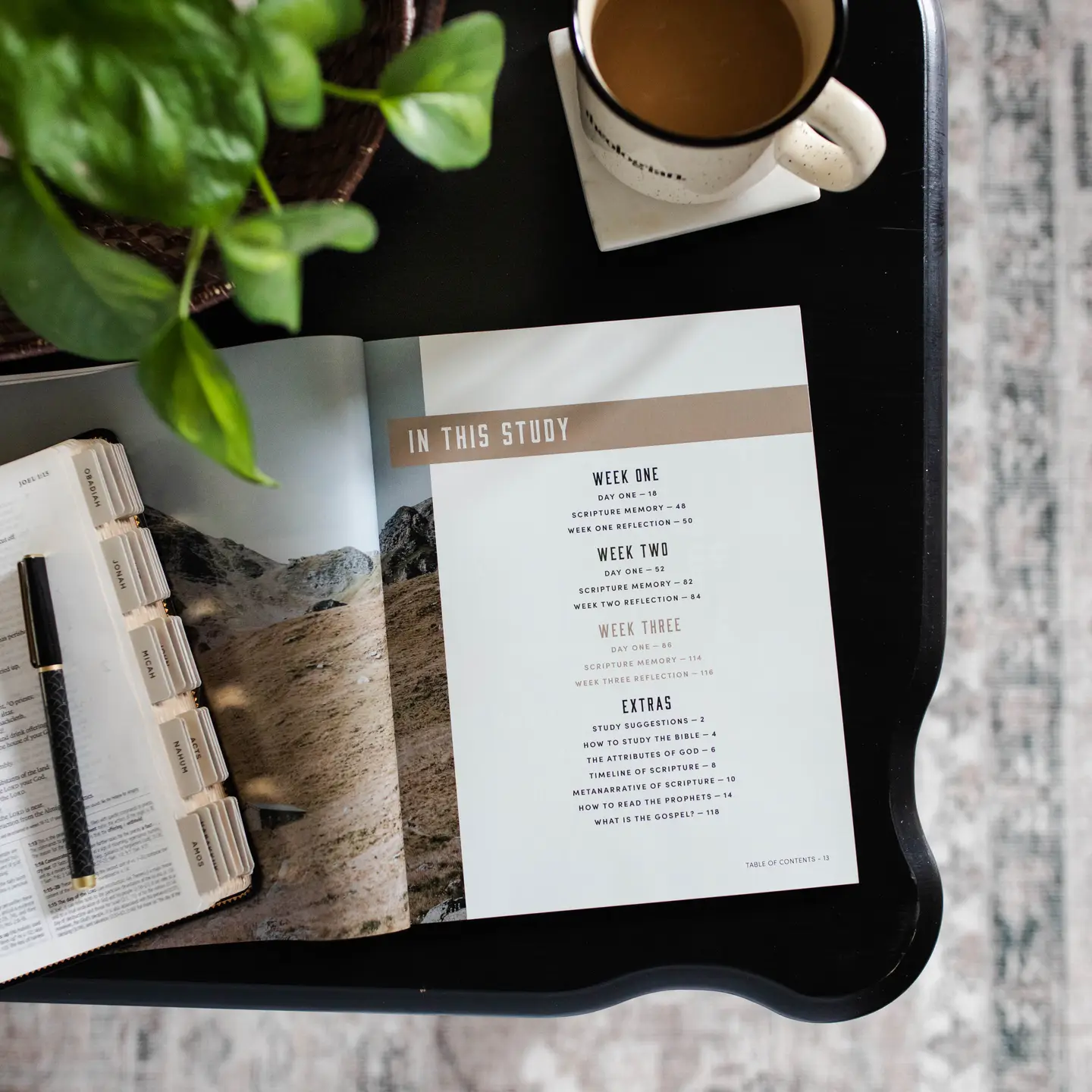 Restored Study On Joel