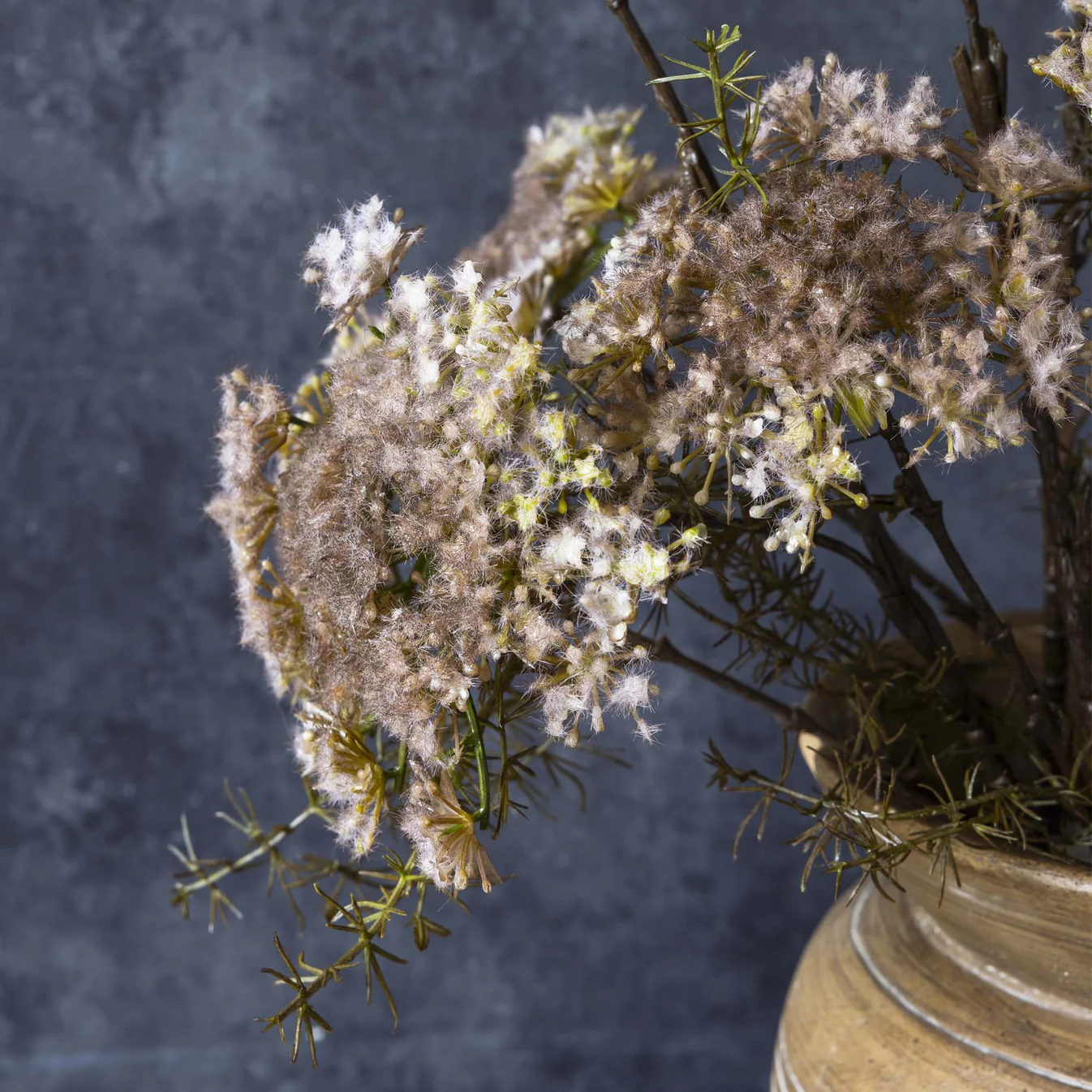 Queen Anne’s Lace, Blush