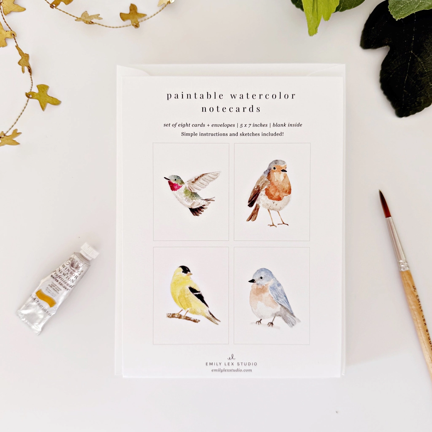 Paintable Notecard Set