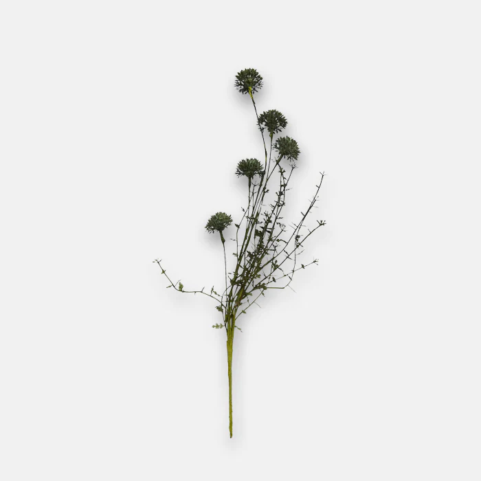 Melaleuca Dusk Stem