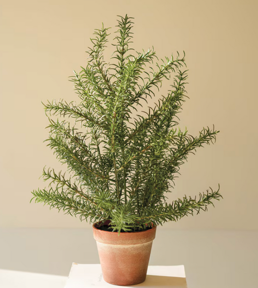 Faux Rosemary | Terra Cotta Pot