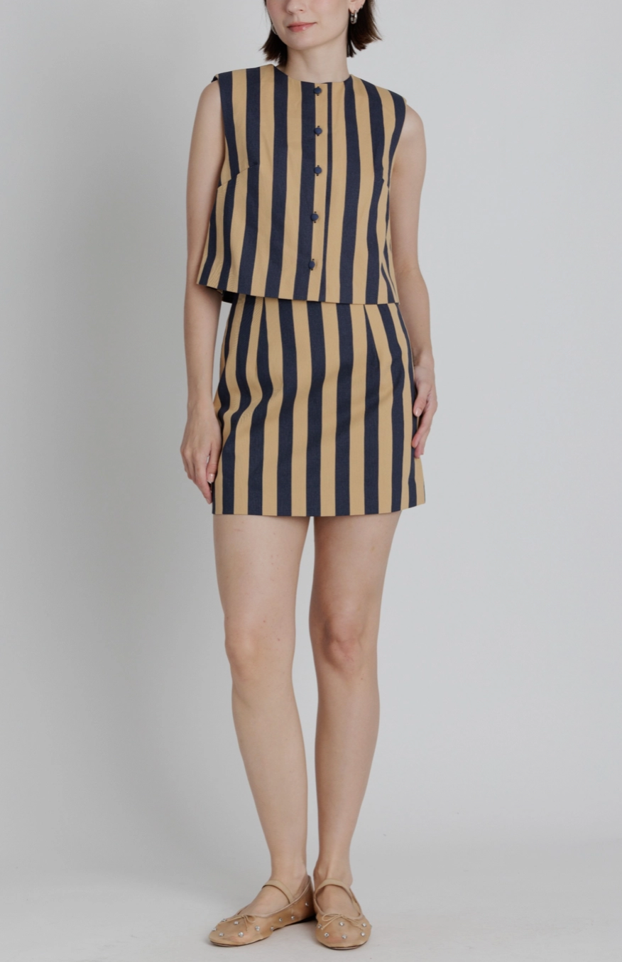Striped Navy Skirt