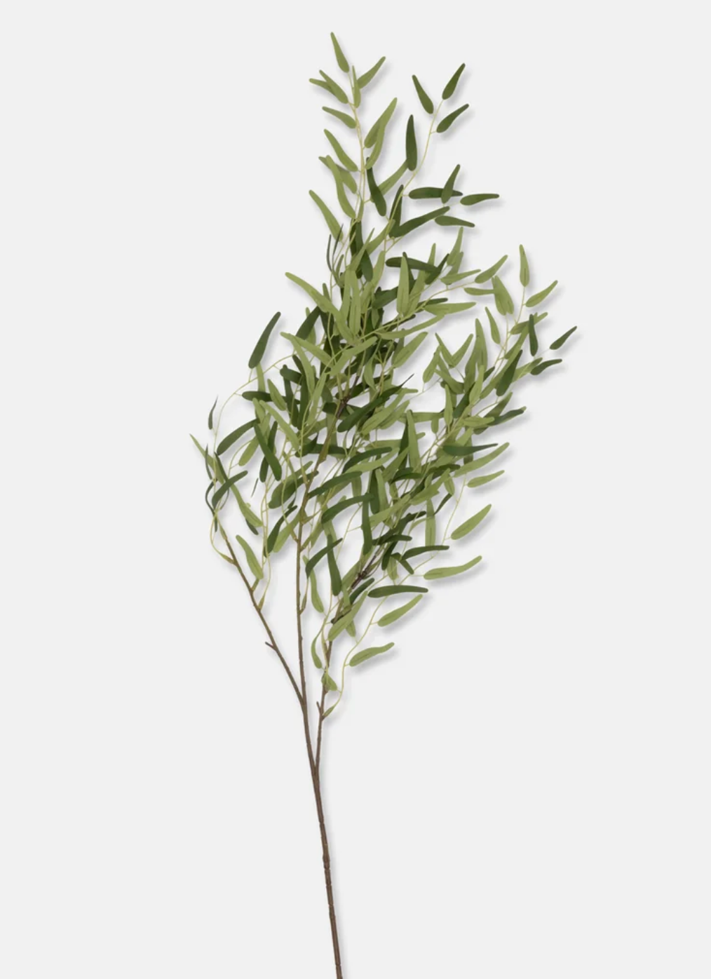 Willow Stem