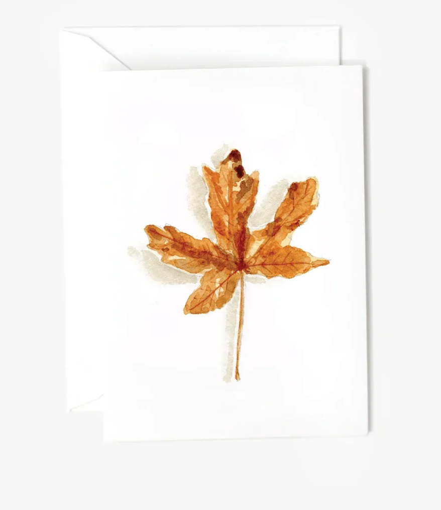 Mini Notecard - Assorted Variety