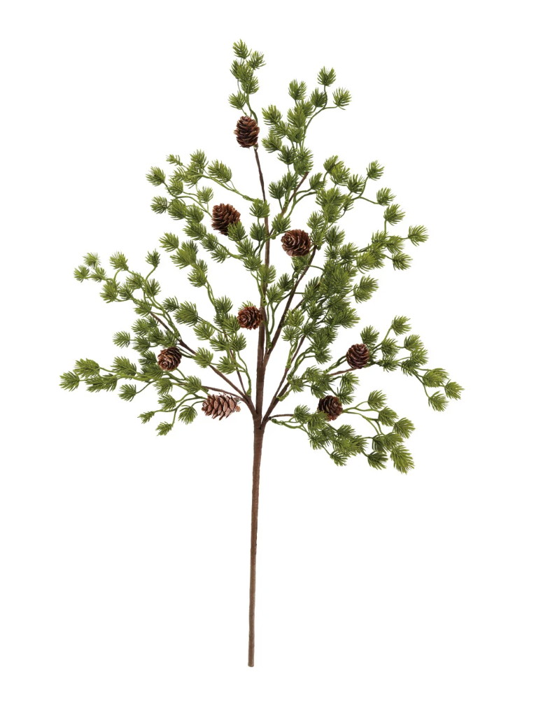 Pine Stems + Branches